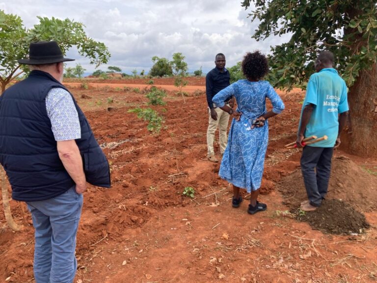 Schermafbeelding 2025-12-22 134423