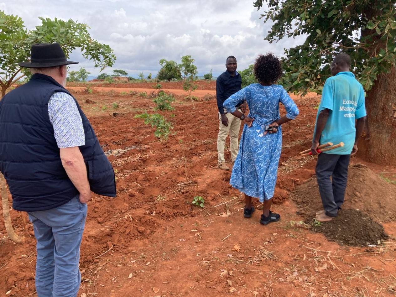 Schermafbeelding 2025-12-22 134423