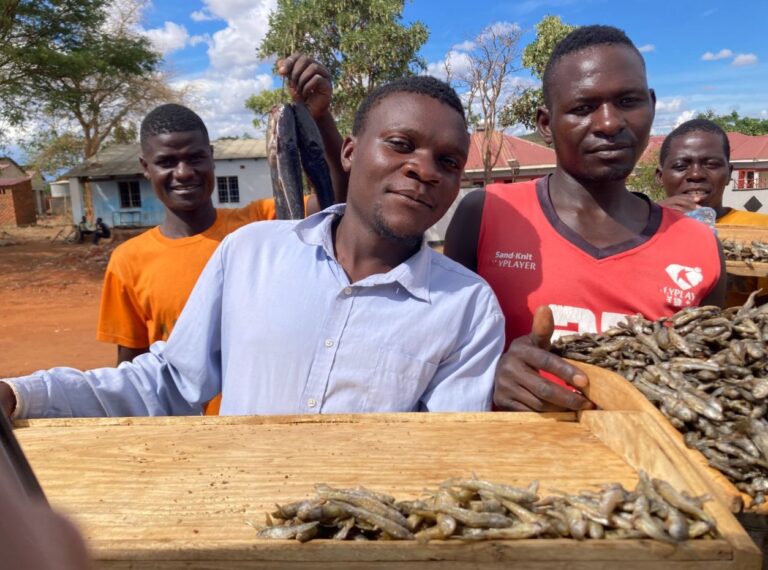 Schermafbeelding 2025-12-22 143132